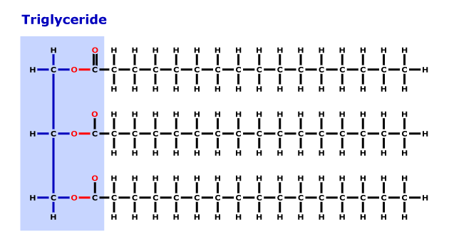 ANS 312 Applied Animal Nutrition Feedstuffs And Ration Formulation 