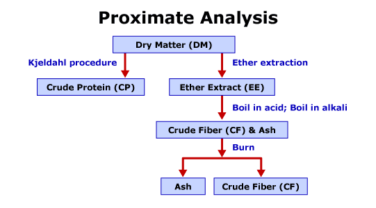 proximate-analysis-of-food-warren-mackay