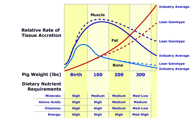 Is Frozen Yogurt Fattening For Weight Loss