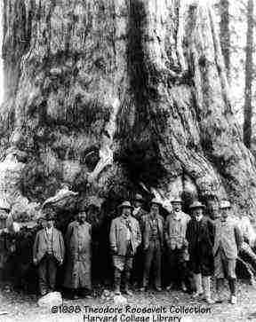 John and Teddy in front of a large tree