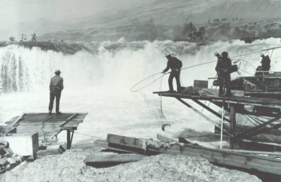 Man dip-netting salmon from the Columbia River