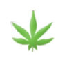 Marijuana Leaf