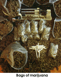 Bags of Marijuana