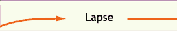 Lapse
