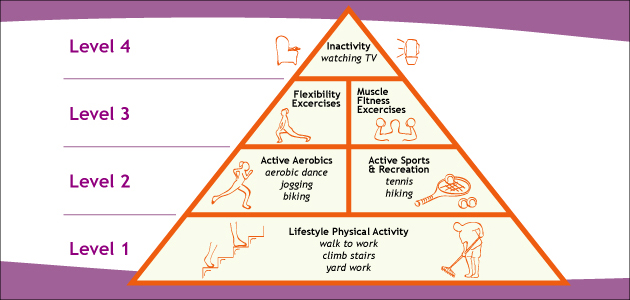 Physical Activity Pyramid with activities that should be done most frequently at the base of the pyramid followed by aerobic activity and sports activities on the second level.  That is due to the cardioprotective effects of aerobic activity.  The third level includes muscular fitness activites along with flexibility building activities.  Lastly, at the tip of the pyramid is physical inactivity to be done as need for rest and recovery.