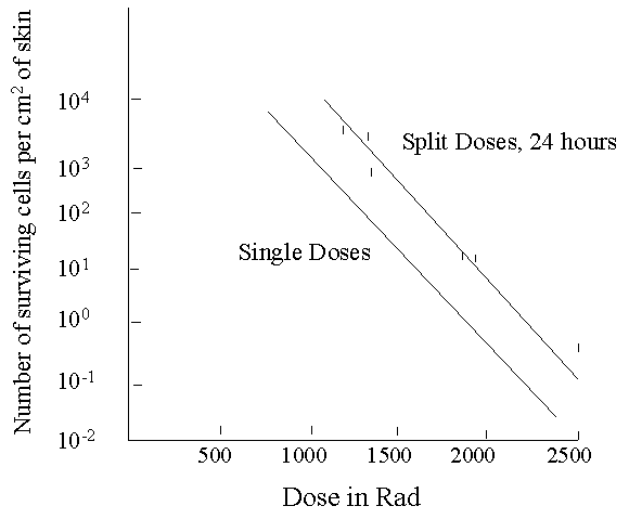 graph of skin studies