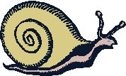 snail